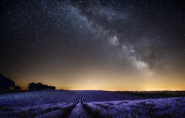 Картинка поле, небо, пейзаж, ночь, природа, Франция, звёзды, лаванда, Прованс