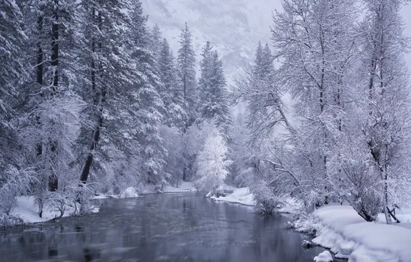 Картинка зима, лес, снег, деревья, река, Калифорния, California, Yosemite National Park, Merced River, Национальный парк Йосемите, …