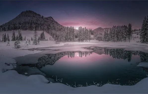 Картинка зима, лес, снег, горы, озеро, отражение, вечер, ели, панорама, водоем