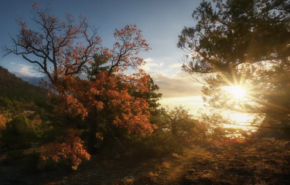 Картинка осень, солнце, пейзаж, закат, природа, Крым, Новый Свет, Алексей Богорянов