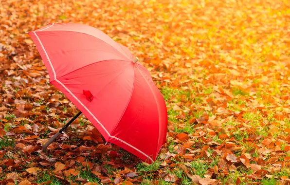Картинка осень, листва, зонт