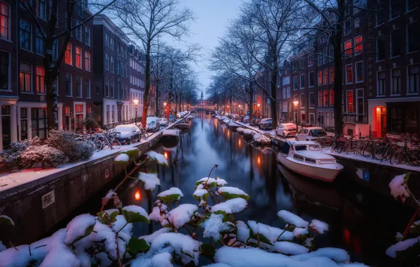 Картинка зима, свет, снег, огни, утро, Амстердам, канал