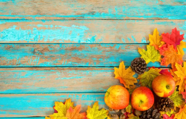 Картинка осень, листья, фон, яблоки, colorful, шишки, wood, background, autumn, leaves, осенние, maple