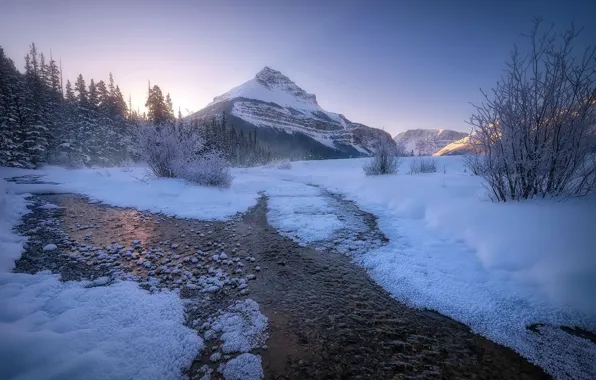 Картинка Winter, landscape, Canadian Rockies, Banff national parks