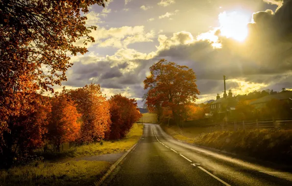 Картинка дорога, осень, закат