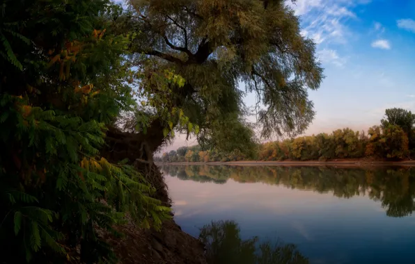 Картинка осень, пейзаж, ветки, природа, река, дерево, вечер, Александр Плеханов