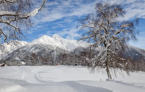 Картинка зима, дорога, снег, деревья, пейзаж, горы, природа, красота, мороз, день