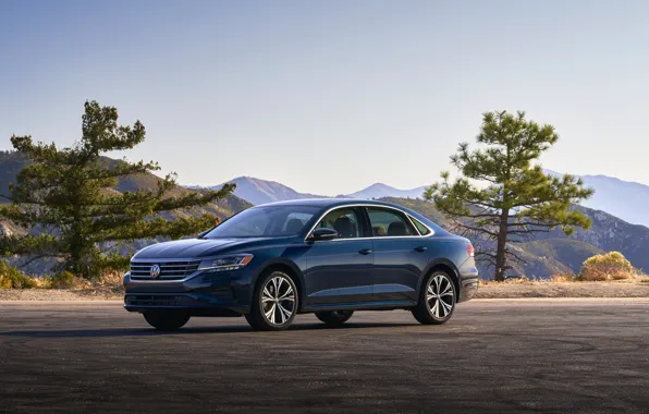 Картинка деревья, синий, Volkswagen, седан, Passat, 2020, 2019, US Version