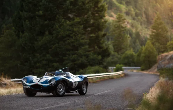 Картинка Road, Race Car, Forest, Jaguar D-Type