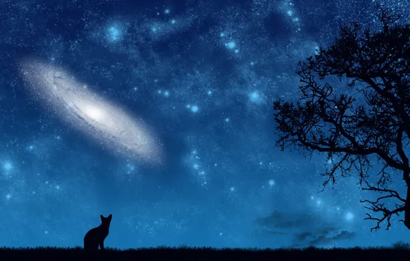 Картинка кот, космос, ночь, дерево, вектор, арт, галактика, вечность