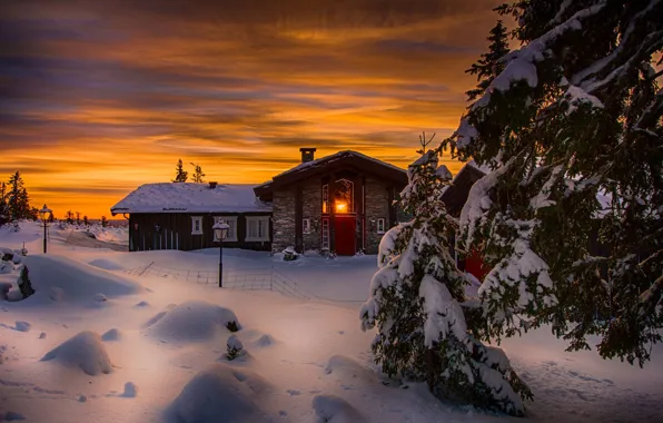 Картинка зима, снег, деревья, пейзаж, закат, природа, дом, ели, Норвегия, Jørn Allan Pedersen