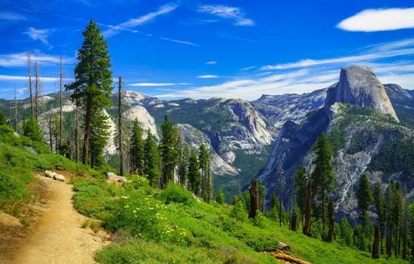 Картинка деревья, горы, Калифорния, тропинка, California, Yosemite Valley, Yosemite National Park, Сьерра-Невада, Долина Йосемити, Sierra Nevada, …