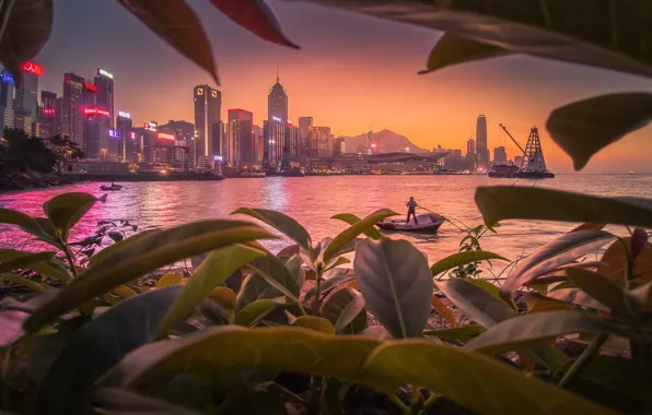 Картинка город, бухта, рыбак, Гонконг, Китай, Hong Kong, КНР, Гон Конг