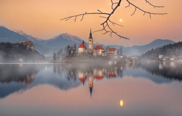 Картинка горы, озеро, отражение, остров, ветка, Словения, Lake Bled, Slovenia, Бледское озеро, Блед, Assumption of Mary …