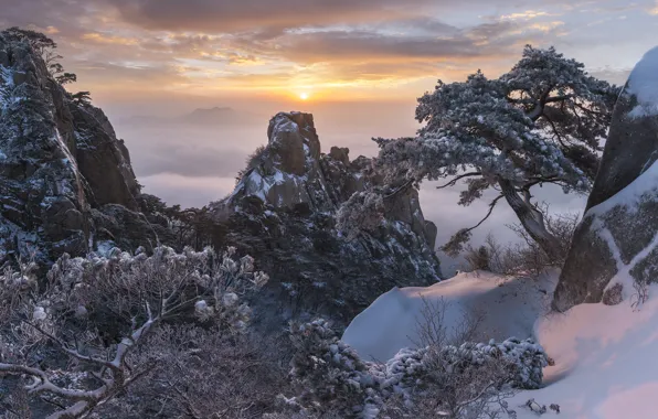 Картинка зима, снег, деревья, пейзаж, горы, природа, туман, скалы, рассвет, утро, сосны, Корея, заповедник, jae youn …