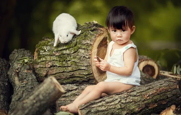 Картинка животное, кролик, малыш, ребёнок, брёвна, Марианна Смолина