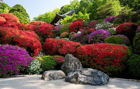 Картинка камни, Япония, сад, Japan, Kyoto, Киото, flowers, garden, stones, рододендрон