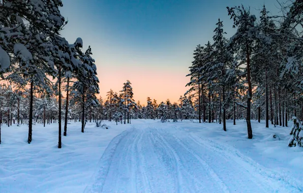 Картинка зима, дорога, лес, снег, деревья, закат, Норвегия