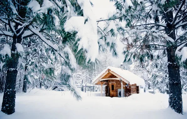 Картинка Природа, Зима, Снег, Домик, House, Nature, Winter, Snow, Зимний лес, Snow trees, Winter forest, Снежные …