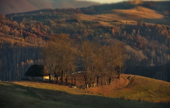 Картинка осень, деревья, пейзаж, природа, дом, холмы, леса, луга, Румыния, Александр Перов