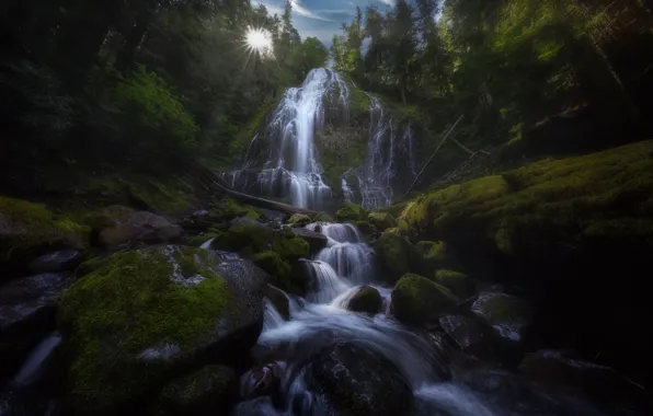 Картинка лес, ручей, камни, водопад, мох, Орегон, каскад, Oregon, Proxy Falls, Водопады Прокси