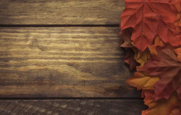 Картинка осень, листья, фон, доски, colorful, red, клен, wood, background, autumn, leaves, осенние, maple