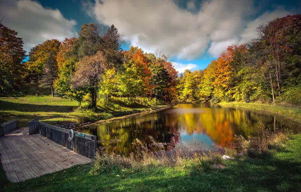 Картинка осень, небо, трава, солнце, облака, деревья, мост, парк, США, речка, Michigan, Northport