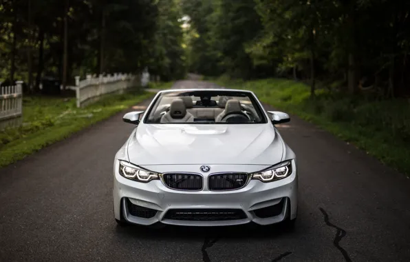 Картинка BMW, Lights, White, Convertible, Face, F83, Adaptive LED