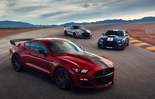 Картинка Mustang, Ford, Shelby, GT500, 2019