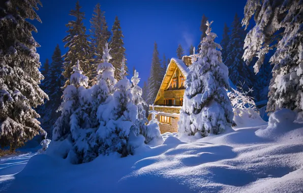 Картинка зима, снег, дом, ели, сугробы, Болгария