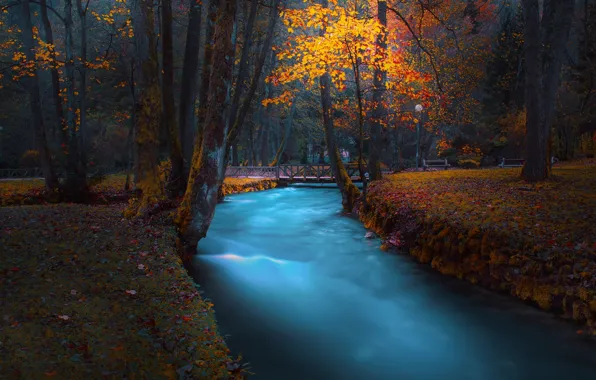 Картинка осень, лес, деревья, пейзаж, природа, парк, река, фонари, мостик, скамейки, Босния, Mevludin Sejmenovic
