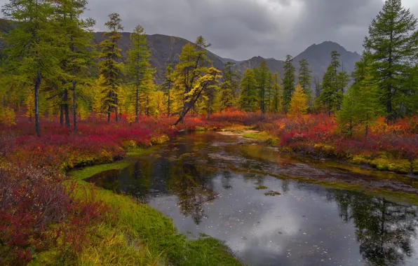Картинка осень, трава, деревья, пейзаж, горы, тучи, природа, берега, кустарники, Владимир Рябков, Колыма, озерко