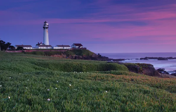 Картинка трава, пейзаж, закат, природа, океан, берег, маяк, дома, Калифорния, США, Pigeon Point Lighthouse