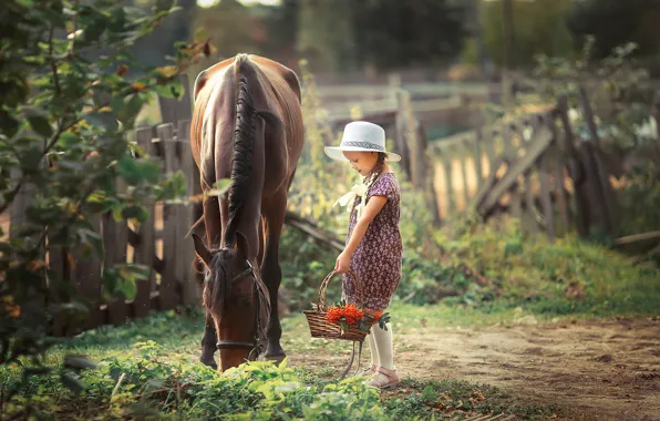 Картинка лошадь, девочка, рябина