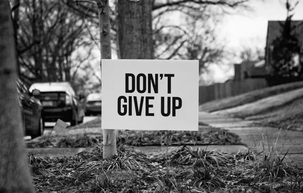 Картинка надпись, улица, табличка, мотивация, don't give up, не сдавайся