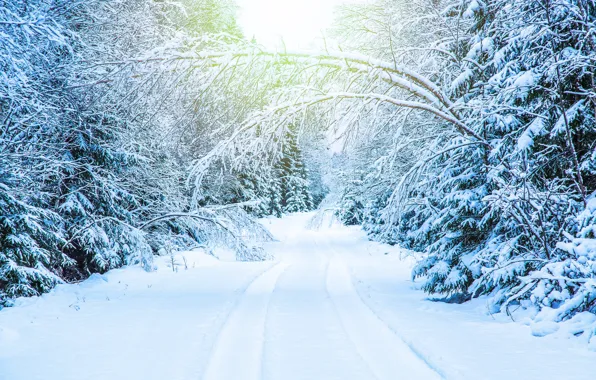 Картинка зима, снег, парк, white, landscape, park, winter, snow, tree