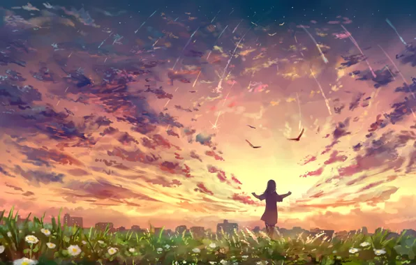 Картинка небо, девушка, закат, цветы, птицы, природа, город