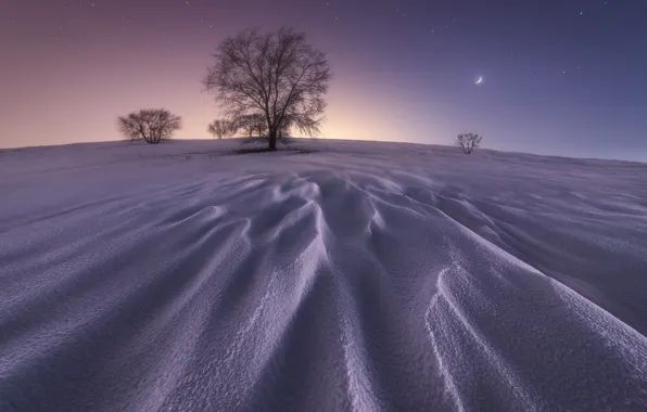 Картинка зима, звезды, снег, дерево, Луна, moon, winter, snow, stars, tree, Juan López Ruiz