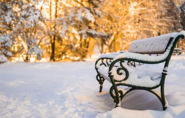 Картинка снег, скамья, snow, bench, winter park, Зимний парк
