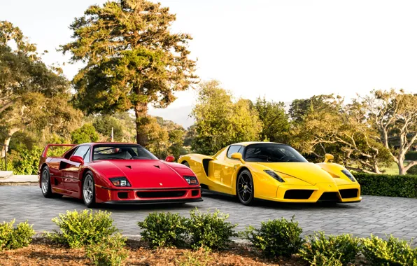Картинка Red, F40, Enzo, Yellow