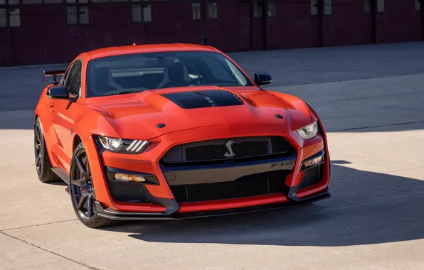 Картинка Mustang, Ford, Shelby, GT500, 2022, Ford Mustang Shelby