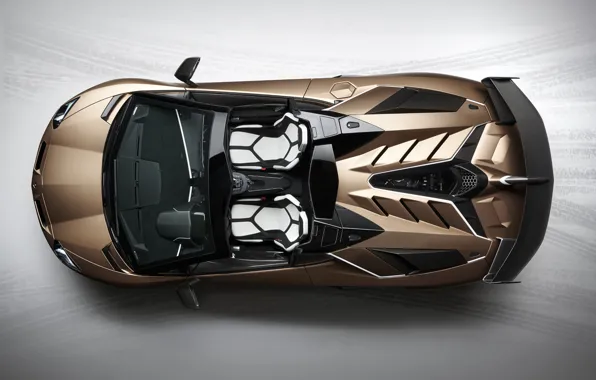 Картинка Суперкар, Итальянский, 2019, Lamborghini Aventador S Roadster