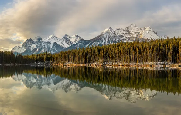 Картинка лес, горы, озеро, отражение, вершины, Канада, водоем, Банф