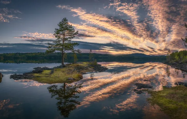 Картинка лес, облака, озеро, отражение, дерево, остров, Норвегия, сосна, Norway, Рингерике, Ringerike