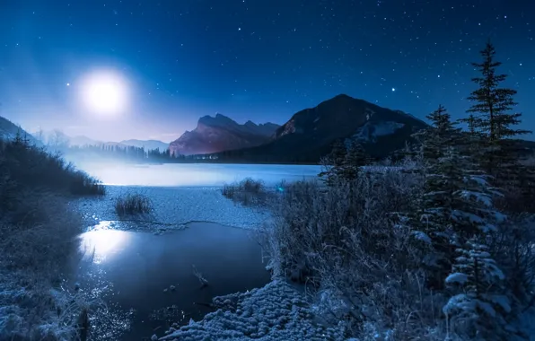 Картинка зима, горы, ночь, озеро, луна, ели, мороз, Канада, Альберта, Banff National Park, Alberta, Canada, кусты, …