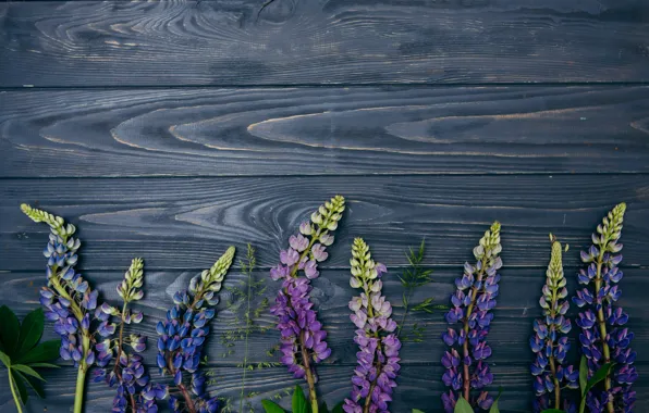 Картинка цветы, фон, wood, flowers, purple, люпины, lupine