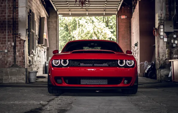 Картинка Dodge, Challenger, Front, RED, R/T, Face, Sight