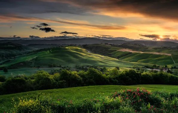 Картинка деревья, пейзаж, закат, цветы, природа, холмы, поля, Италия, Тоскана