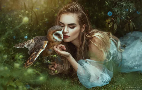 Картинка девушка, цветы, поза, сова, птица, платье, длинные волосы, сипуха, Marketa Novak