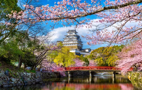 Картинка парк, весна, Япония, сакура, Japan, цветение, blossom, park, sakura, cherry, spring, castle, Himeji